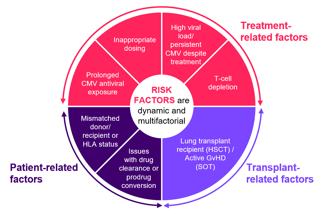 Risk Factors are Dynamic and Multi Factorial - graph implemented as an image (sorry)